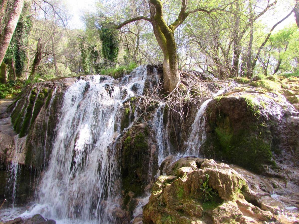 Bed And Breakfast Ifrane  Extérieur photo